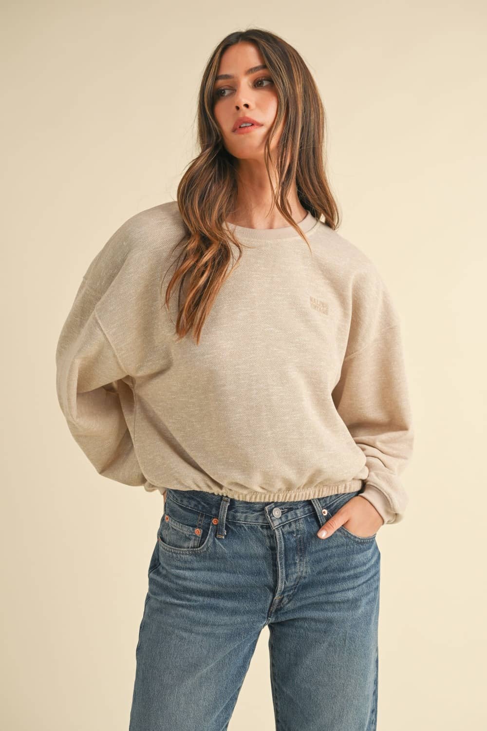 Letter Embroidery Crop Sweatshirt Taupe